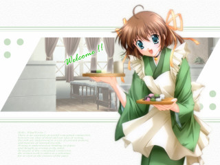 Alice prin green dress food - a tray of food free wallpaper