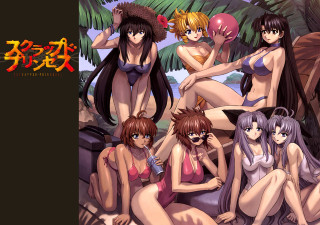 Beach girls palm tree bikini - bikinis free wallpaper