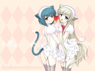 Anime girls hugging cat argyle - pink free wallpaper for desktop