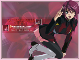 Eizan kikukawa military portrait pink - outfit free wallpaper