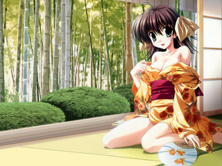 Woman kimono bamboo forest anime - the ground in front free wallpaper