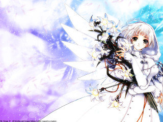 Anime girl white hair wings 4 - a bouquet of flowers free wallpaper