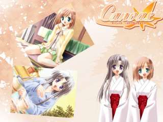 Anime girls sitting wall flowers - a wall free wallpaper