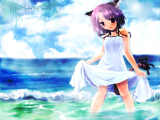 White dress ocean cat head - the ocean free wallpaper for desktop