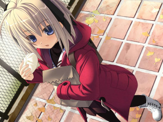 Alice prin autumn remodernism girl - a red coat free wallpaper