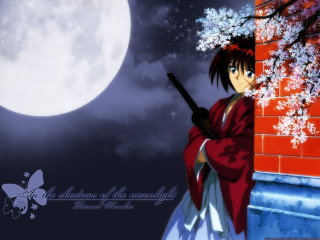 Woman moon cherryblossoms kimono shootingstar - white flower free wallpaper