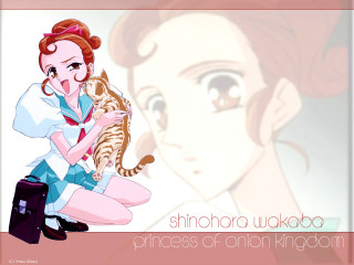 Woman cat suitcase cartoon remodernism - her face free wallpaper for desktop