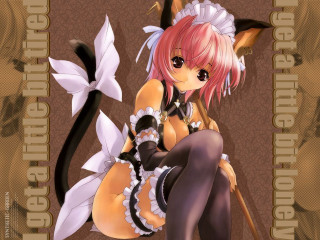 Pink haired anime girl cat - a cane free wallpaper