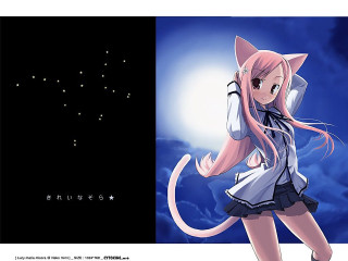 Pink hair cat tail night - a night sky free wallpaper