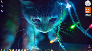 Cat looking camera clock lights - the foreground free wallpaper