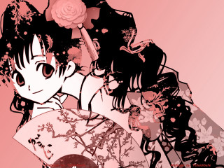 Girl flower fan pink rose - a pink rose free wallpaper