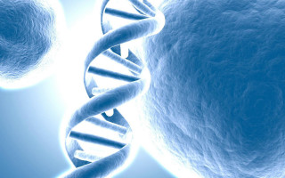 Blue background double strand spirals - biopunk free wallpaper