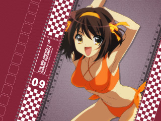 Woman bikini checkered background red - a picture free wallpaper