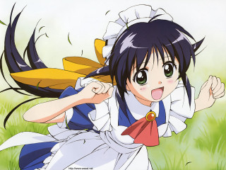Girl running grass smile blush - her face free wallpaper