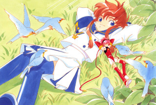 Red hair birds field alice - above her head free wallpaper