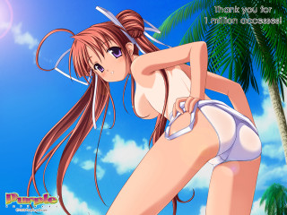 Cartoon woman bikini palm tree - a palm tree in the background free wallpaper