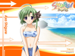 Girl beach bikini ocean sunset - a girl in a bikini free wallpaper