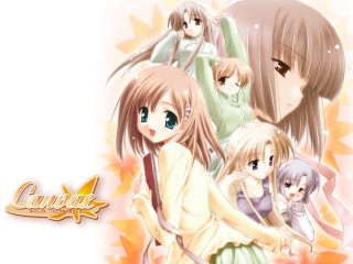 Anime girls white dresses leaves - long hair free wallpaper
