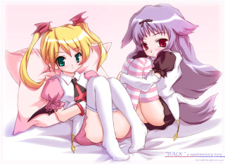 Anime girls bed cat costume - a bed together free wallpaper