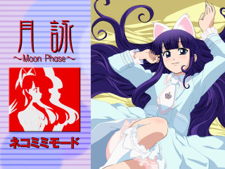 Anime longhair cattears bed ayako - long hair and a cat ears free wallpaper