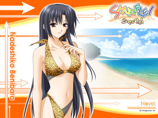 Beach sunset woman bikini ocean - sots art free wallpaper