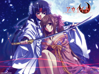Moonlit samurai cherry blossoms night - star and snow free wallpaper