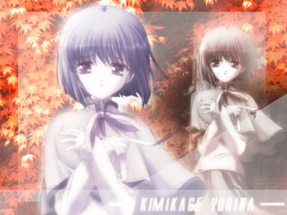 Anime girls autumn leaves holography - holography free wallpaper
