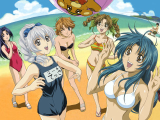 Beach bikinis teddy bear blue - suit free wallpaper