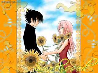 Anime couple sunflowers summer manga - a sky background free wallpaper for desktop