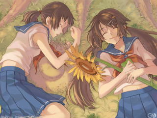 Sunflower sisters anime girls field - one girl free wallpaper