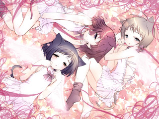 Three anime girls cat hearts - pink free wallpaper for desktop