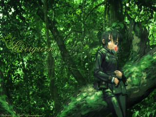 Green girl forest flower bamboo - a tree branch in a forest free wallpaper