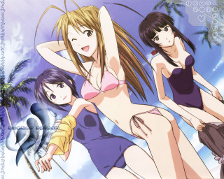 Women bathing suits palm tree - suit free wallpaper