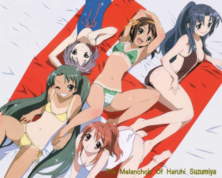 Group women bikinis bed synchromism - a bed free wallpaper