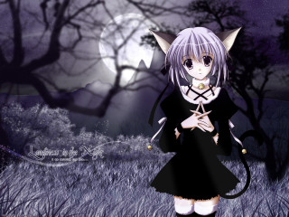 Anime girl black dress cat 2 - anime art free wallpaper