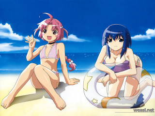 Anime girls beach ball bikini - the sand free wallpaper