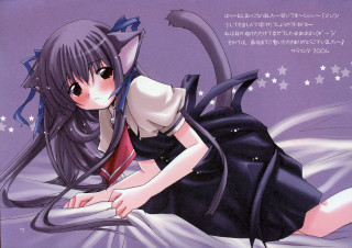 Girl cat bed starry furry - her head and a cat tail free wallpaper