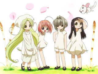 Three girls bird cat rayonism - above them free wallpaper