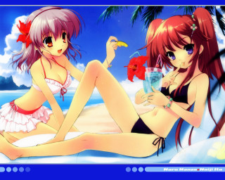 Anime girls beach drink bird - the other hand free wallpaper