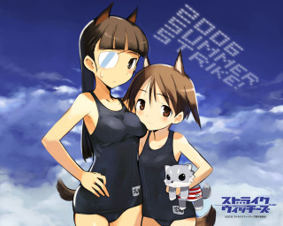 Anime girls swimsuits koala ears - swimsuit free wallpaper