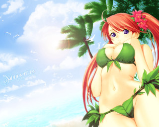 Beach bikini palm trees sky - the background and a sky background free wallpaper