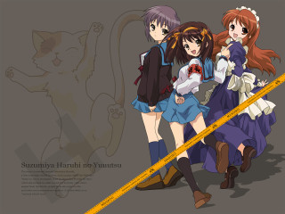 Ai mitsu measuring tape cat - aimitsu free wallpaper