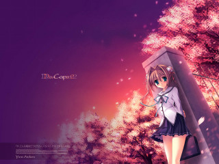 Anime girl cherry blossoms pink - dark background free wallpaper