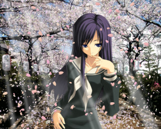 Woman black dress cherry blossoms - a man in a suit free wallpaper