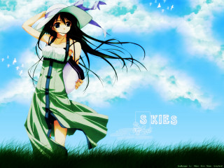 Woman dress hat walking grass - blue sky free wallpaper