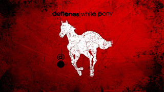 Red horse blood splatter silhouette - a black ball free wallpaper