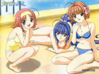 Three anime girls beach bikini - suit free wallpaper