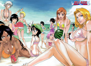 Beach girls bikinis male arts - a group of women free wallpaper for desktop
