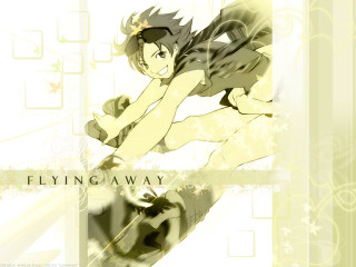 Eizan kikukawa anime sword flower - holography free wallpaper