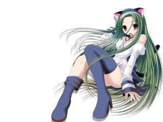 Green haired woman cat ears - an anime drawing free wallpaper for desktop